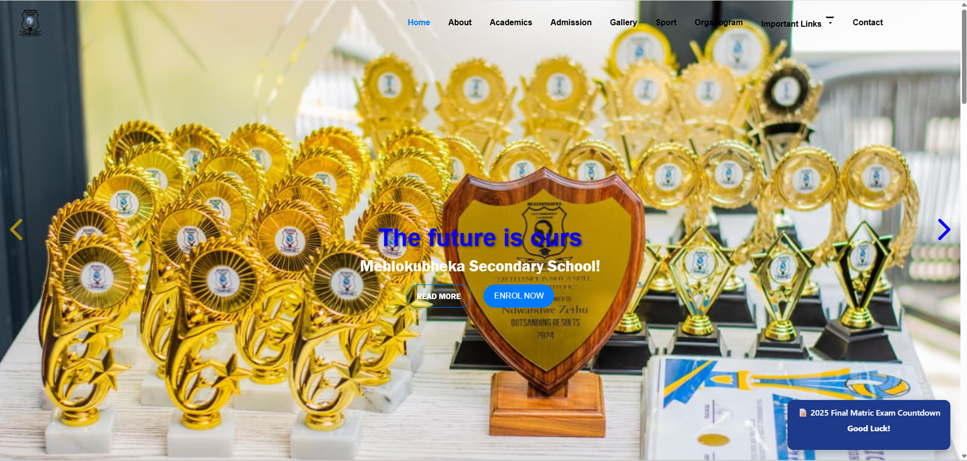 Mehlokubheka Website Design